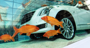 Фотохроника 25 февраля