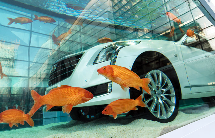 В Китае седан премиум-класса Cadillac CT6 поместили в огромный аквариум в рамках новой рекламной кампании автоконцерна GM