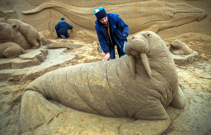 В немецком курортном городе Бинц идет подготовка к фестивалю песчаных скульптур, который откроется 12 марта. Фигуры из песка будут располагаться в специальных павильонах на площади 5000 квадратных метров. Для создания скульптур будет использовано 16 тонн песка.