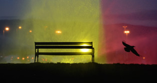 Лучшие фото недели