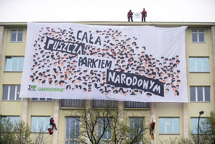 В Варшаве активисты Greenpeace повесили огромную растяжку на здание министерства охраны окружающей среды. Экологи протестуют против решения властей значительно увеличить вырубку деревьев в Беловежской пуще с целью спасти массив от жука-короеда.