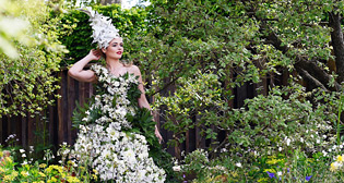 Фотохроника 23 мая