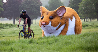 Фотохроника 26 мая