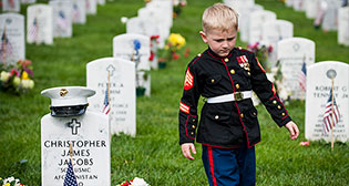 Фотохроника 31 мая