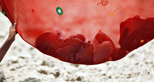 Лучшие фото недели