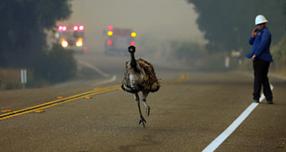 Лучшие фото недели