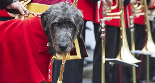 Фотохроника 28 июня