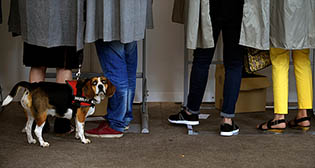 Лучшие фото недели