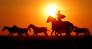 Лучшие фото недели