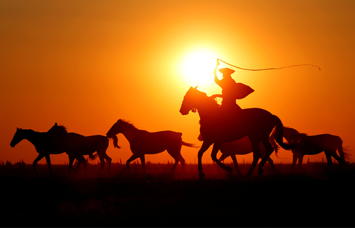 Наездник в национальном парке Хортобадь, Венгрия