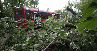 Последствия грозы в Москве