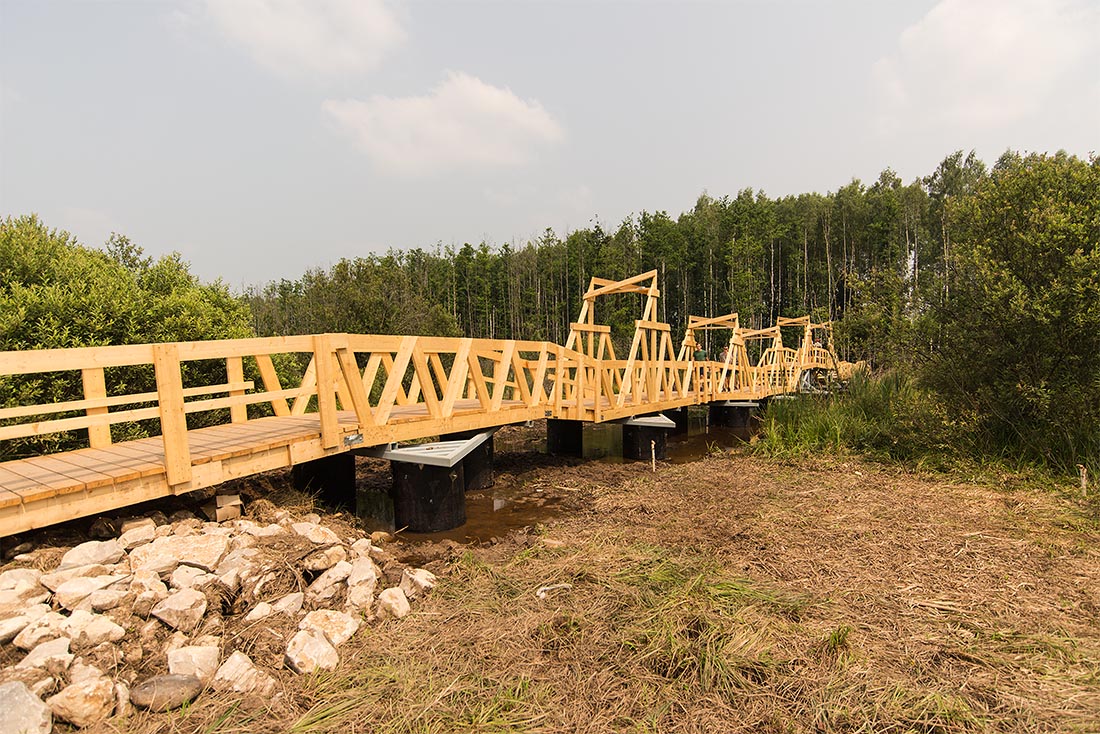 Ну вот. "Мост". Не зря ноги измазаны по колено грязью (не забывайте взять сапоги) и шея искусана тоже не зря, потому что где-то в окрестностях моста, красивого своей простотой и естественного здесь, как хатка бобра, обитает, собственно, сам этот бобер. И проходя по вторгшемуся в его пространство мосту можно услышать, как он хлопочет, совершенствуя свой быт, наверное, или, "занимаясь покупками", шуршит, где-то там, в камышах.