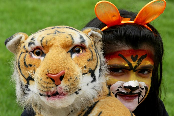 В Бенгалоре проходит кампания за спасение тигров