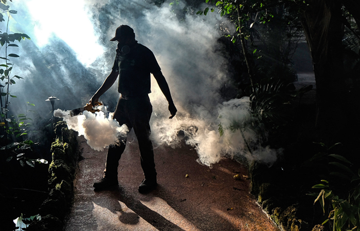 В Майами начали обрабатывать территории химикатами для уничтожения насекомых в районах, где были обнаружены случаи заражения вирусом Зика. В городе уже зафиксировано 14 случаев заражения вирусом.