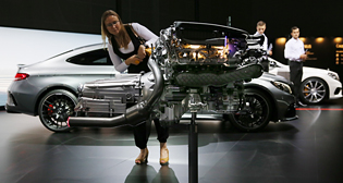 Фотохроника 24 августа