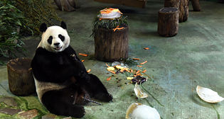 Фотохроника 30 августа