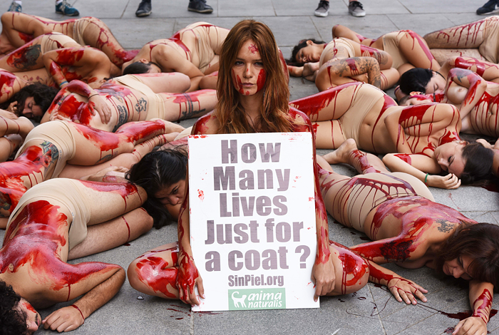 В Мадриде прошла акция протеста защитников животных против использования меха