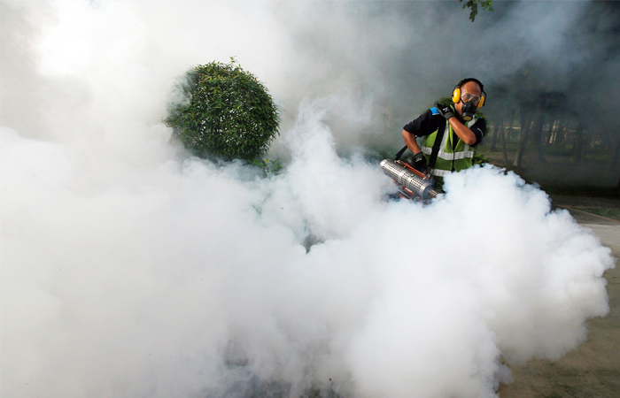 В Сингапуре начали обрабатывать территории химикатами для уничтожения насекомых в районах, где были обнаружены случаи заражения лихорадкой Зика. В стране уже зафиксировано 50 случаев заражения вирусом.