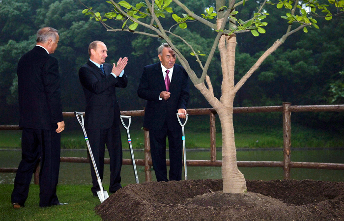 Президент Узбекистана Ислам Каримов, президент России Владимир Путин и президент Казахстана Нурсултан Назарбаев (слева направо) принимают участие в церемонии посадки дерева в честь юбилейного пятого саммита Шанхайской организации сотрудничества. 2006 год.