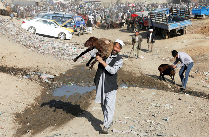 Животных для жертвоприношения выставили на продажу на скотном рынке в Кабуле в преддверии исламского праздника Ид аль-Адха