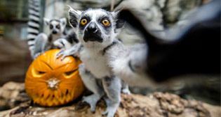 Лучшие фото недели