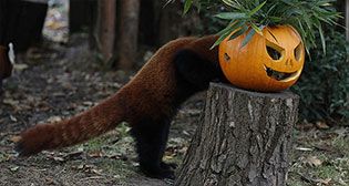 Лучшие фото недели