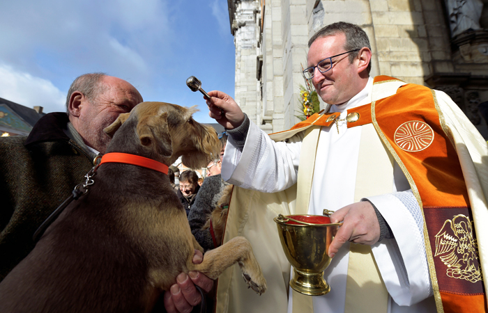 В бельгийском городе Сент-Юбер священник провел ежегодную церемонию благословения животных возле базилики Святых Петра и Павла