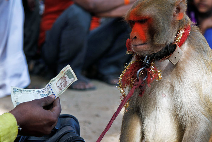 Индия прекращает использование купюр номиналом 500 рупий и 1000 рупий. Со среды эти банкноты уже не принимаются в качестве платежного средства. По словам индийского премьера, они активно используются на "черном рынке", а также для финансирования террористической активности. Резервный банк Индии в четверг выпустит в обращение новые купюры с высокой степенью защиты - номиналом в 500 рупий и 2000 рупий.