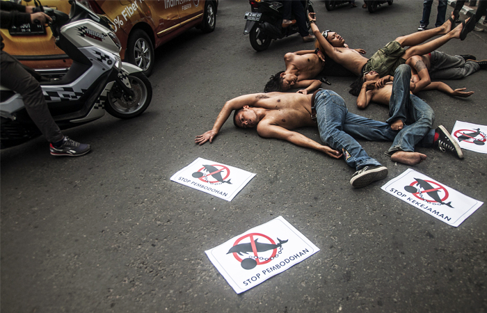 В Индонезии зоозащитники вышли на улицы Джакарты с акцией протеста против содержания дельфинов в неволе и их участия в цирковых представлениях