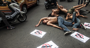 Фотохроника 22 ноября