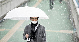 Первый за полвека ноябрьский снег в Токио