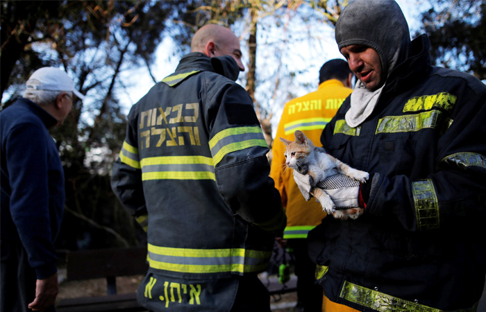 Спасатели продолжают бороться с пожарами, которые не перестают бушевать в разных районах Израиля. Десятки тысяч жителей города Хайфа на севере Израиля были вынуждены покинуть свои дома. Сотрудники правоохранительных органов задержали 12 человек, подозреваемых в причастности к поджогам по всей территории страны.