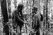 Лидеры кубинской революции Фидель Кастро (слева) и Эрнесто Че Гевара в лесах Сьерра-Маэстра в 1957 году. Свергнуть режим Фульхенсио Батисты на Кубе им удастся в 1959 году. 