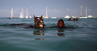 Лучшие фото недели