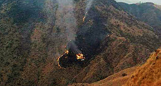 Фотохроника 7 декабря