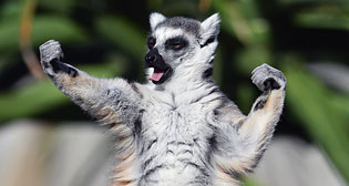 Лучшие фото недели