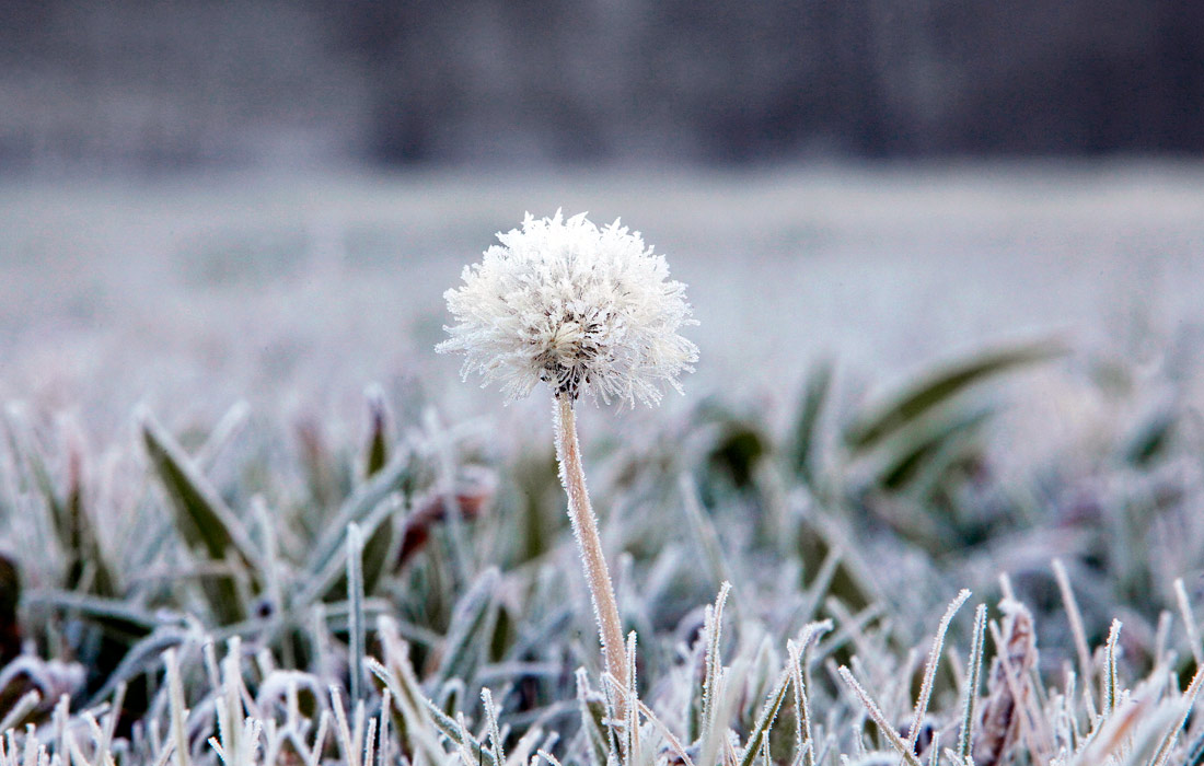 А-Корунья, Испания