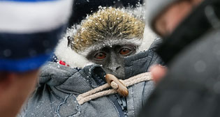 Лучшие фото недели