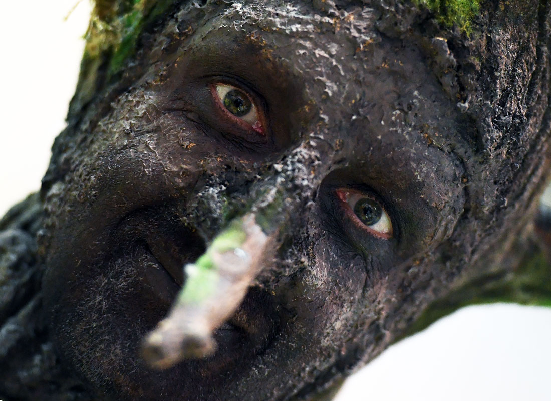 В Берлине проходит крупнейшая международная аграрная выставка "Зелёная неделя". В 26 выставочных павильонах общей площадью 160 000 м² участники ежегодно демонстрируют продукцию различных областей агропромышленного комплекса.