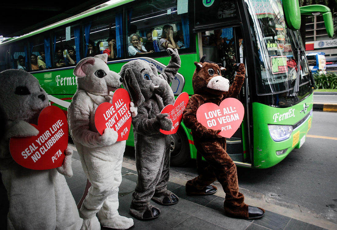 Накануне Дня всех влюбленных группа активистов в плюшевых костюмах на Филиппинах призывает к состраданию и этичному обращению с животными
