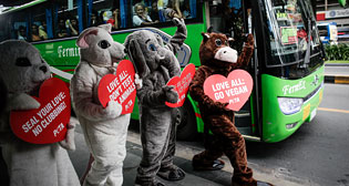 Фотохроника 13 февраля