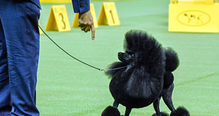 Лучшие фото недели