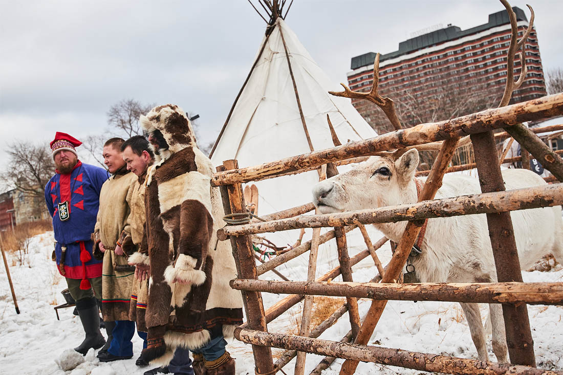 Оленеводы Ханты-Мансийского и Ямало-Ненецкого автономных округов собрали под обращением к президенту более шестисот подписей коренных жителей