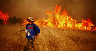 Фотохроника 1 февраля