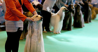 Фотохроника 9 марта