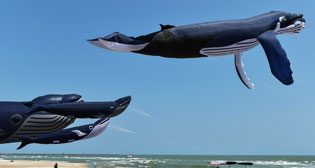 Лучшие фото недели