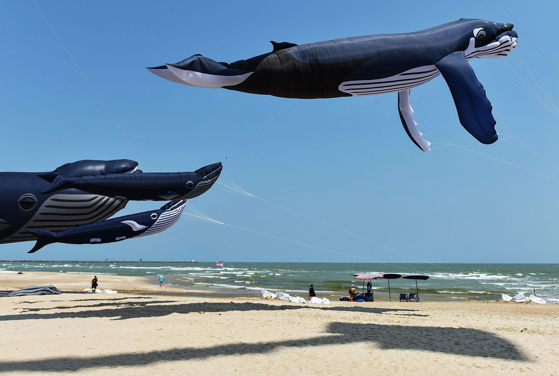 Фестиваль воздушных змеев в тайской провинции Пхетчабури