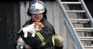 Фотохроника 22 марта