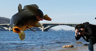 Лучшие фото недели