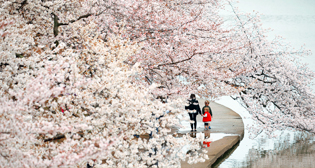 Фотохроника 28 марта